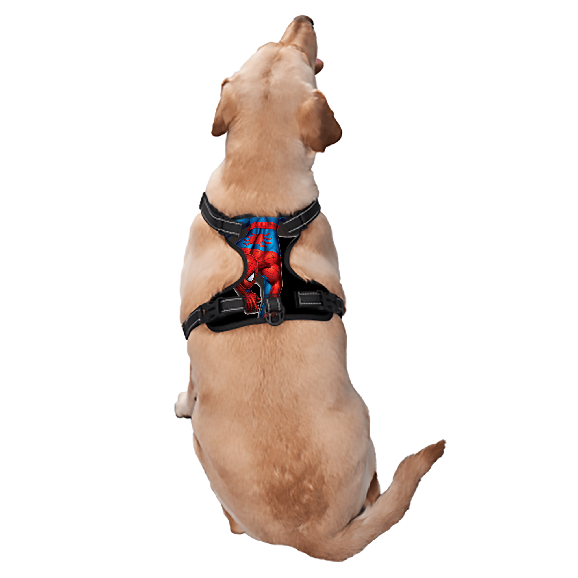 （画像用） Spider Man スパイダーマン ペット用ハーネス